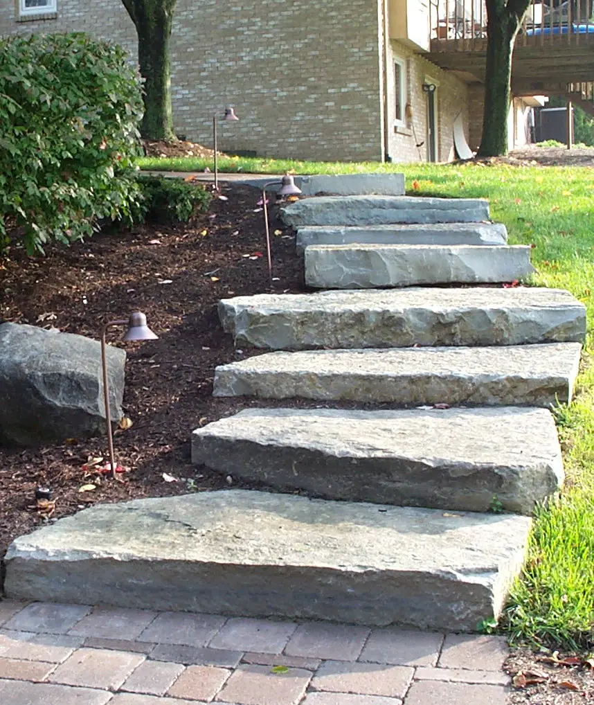 lone-star-steps