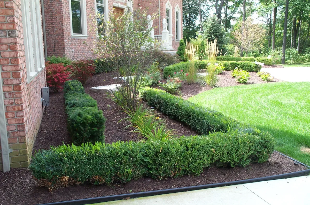 lone-star-landscaping